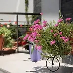 Almare Seaside & - Sithonia Aparthotel 4*