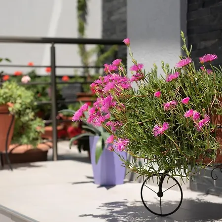 Almare Seaside & - Sithonia Appart hôtel *
