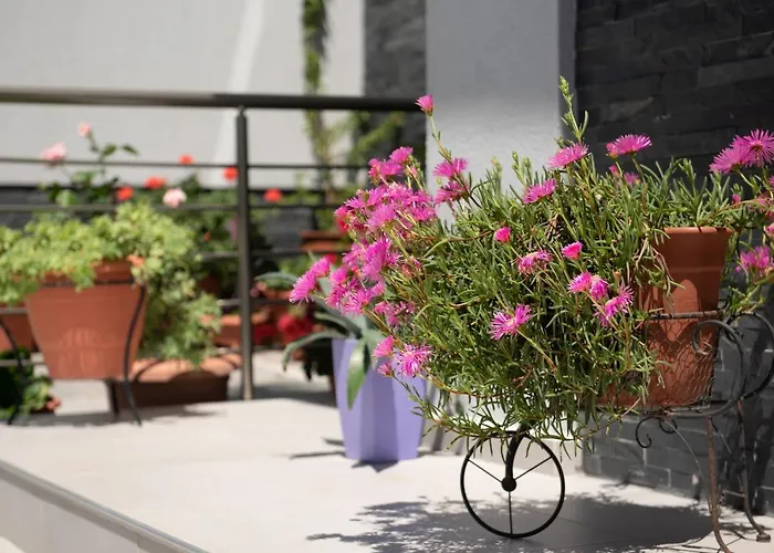 Almare Seaside & - Sithonia Апарт-отель 4*