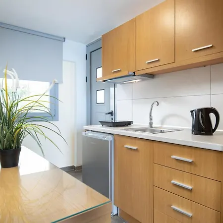 Almare Seaside & - Sithonia 4* サルティ